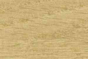 Линолеум Taralay Initial Comfort 0024 Chamois фото  | FLOORDEALER